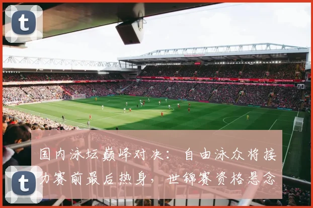 国内泳坛巅峰对决：自由泳众将接力赛前最后热身，世锦赛资格悬念再起 - 搜狐体育