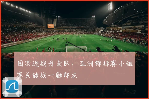 国羽迎战丹麦队，亚洲锦标赛小组赛关键战一触即发 - 搜狐体育