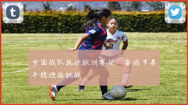 中国战队抵达欧洲赛场,备战节奏平稳迎接挑战