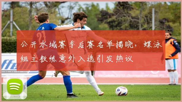 公开水域赛季后赛名单揭晓，蝶泳组主教练意外入选引发热议 - 搜狐体育