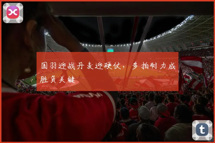 国羽迎战丹麦迎硬仗，多拍耐力成胜负关键 - 搜狐体育