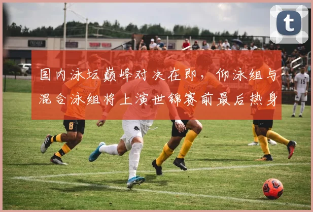 国内泳坛巅峰对决在即，仰泳组与混合泳组将上演世锦赛前最后热身 - 搜狐体育