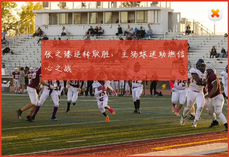 张之臻逆转取胜,主场球迷助燃信心之战