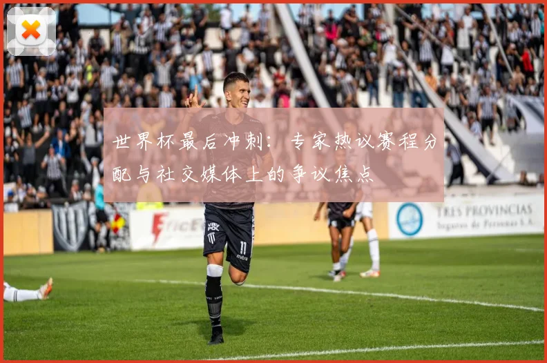 世界杯最后冲刺：专家热议赛程分配与社交媒体上的争议焦点 - 搜狐体育