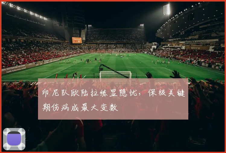 印尼队欧陆拉练显隐忧，保级关键期伤病成最大变数 - 搜狐体育