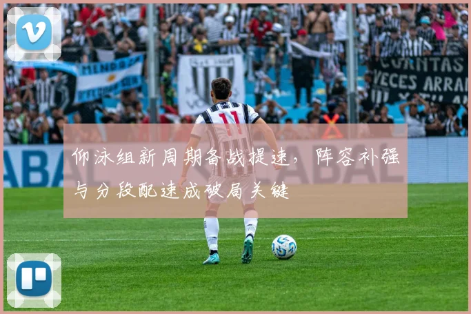 仰泳组新周期备战提速,阵容补强与分段配速成破局关键
